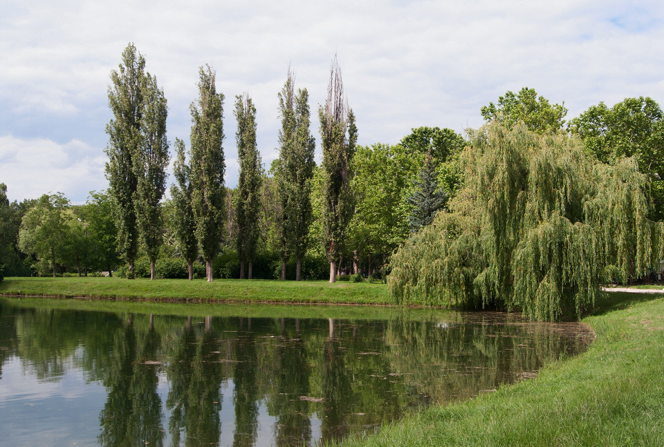 Пруд в парке Юрия Гагарина, Симферополь