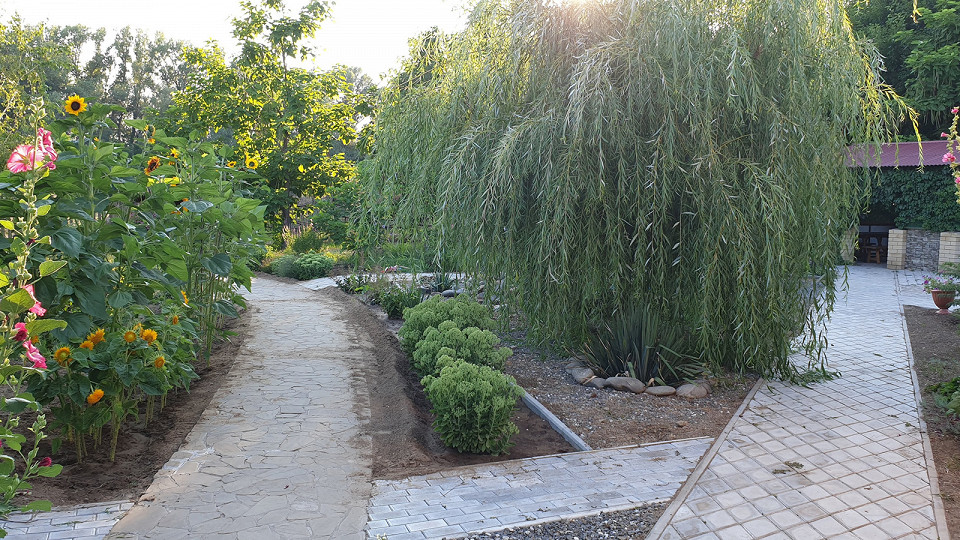 Забил на Турцию2