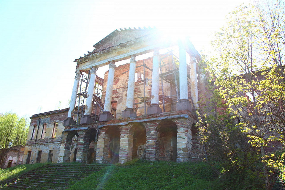 Ропшинский дворец, современное состояние