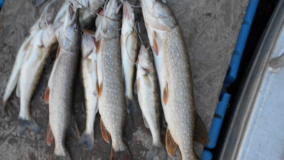 Забил на Турцию12