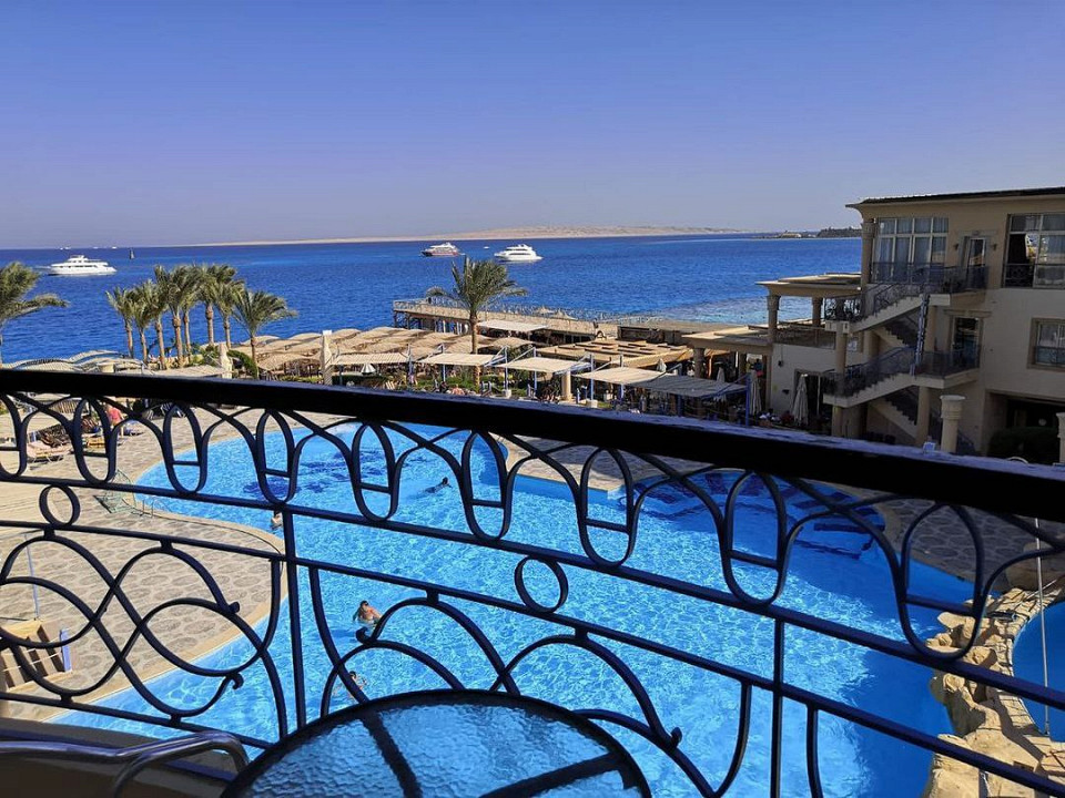 Пульт в пакетике, томные египтяне и собаки в бассейне1