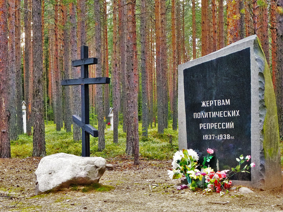 Красный бор в Карелии
