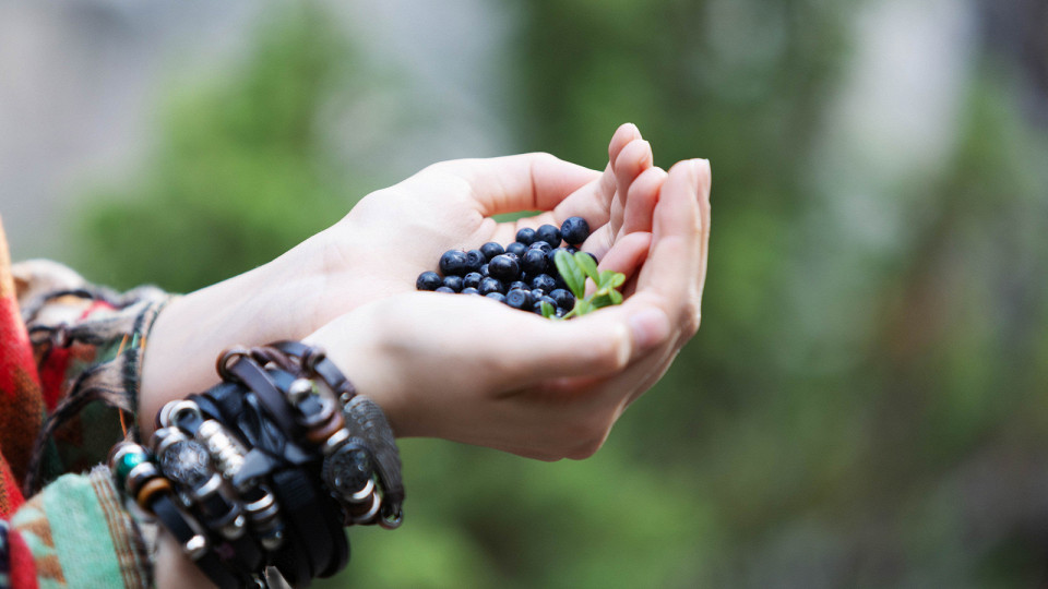 На Кольском полуострове14