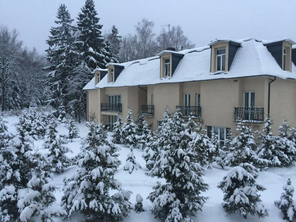 Лафер Ренессанс.jfif