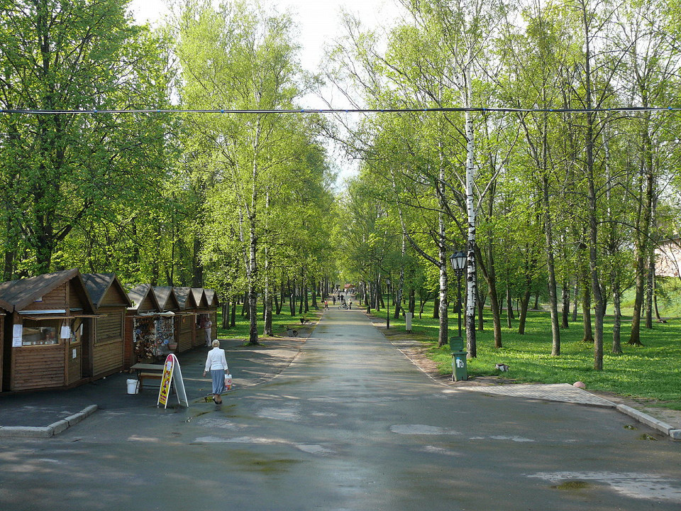 Одна из аллей Кремлёвского парка в Великом Новгороде