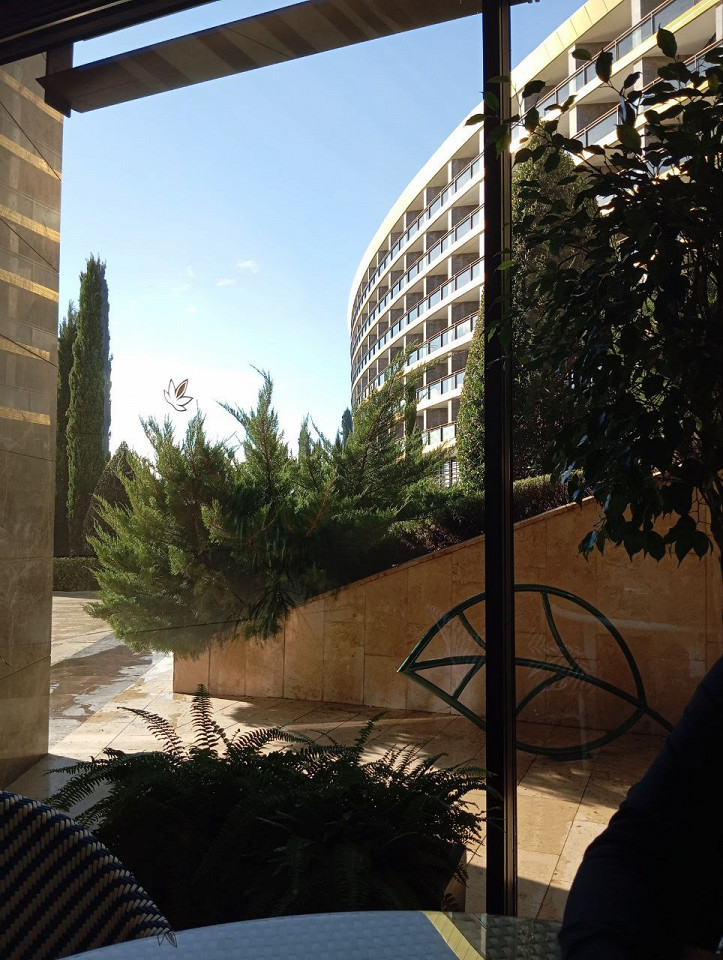 Ожидали 5 звезд, получили хаос и равнодушие: отзыв туриста о Крыме1