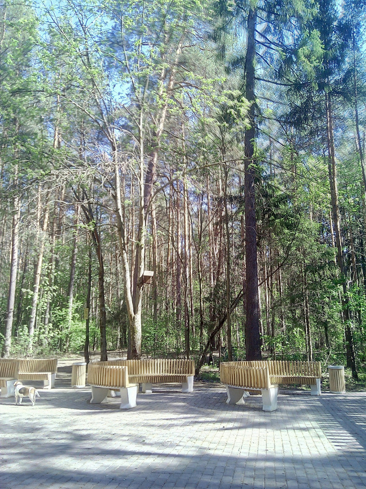 5 образов Перми-14