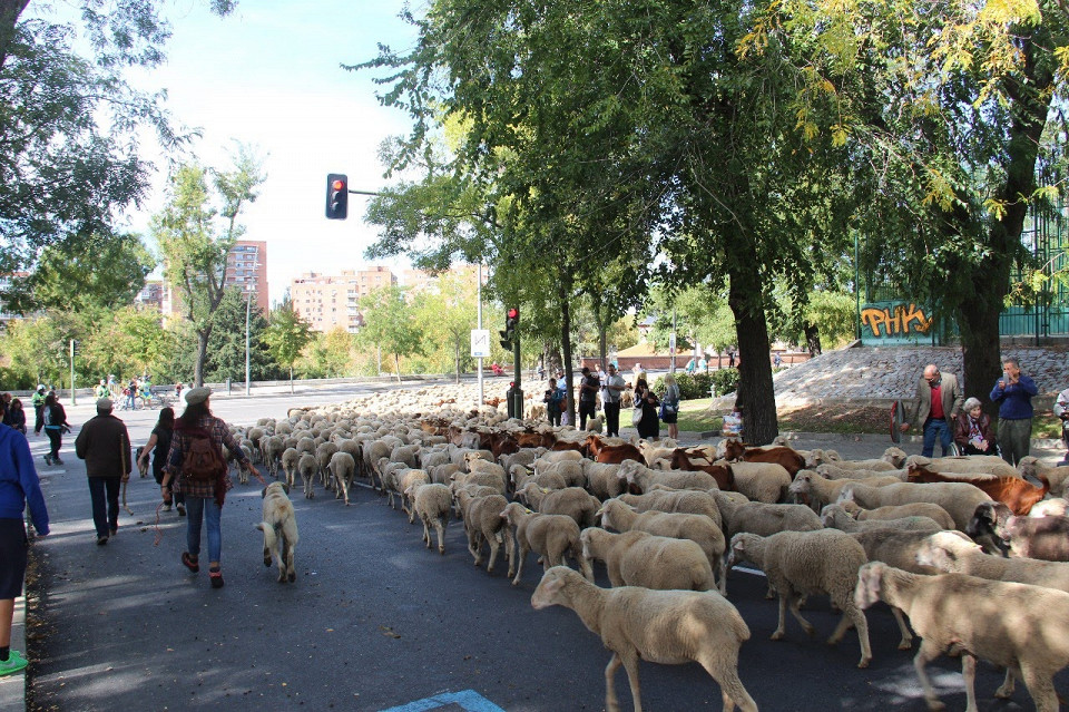 Переезд в Испанию, отзыв5