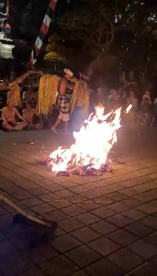 Программист на Бали, отзыв1