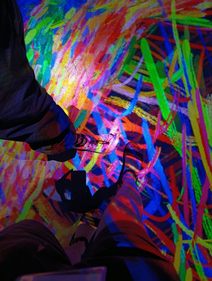 TeamLab Phenomena в Абу-Даби6