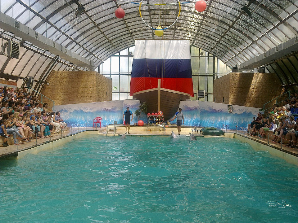 Ростовский дельфинарий