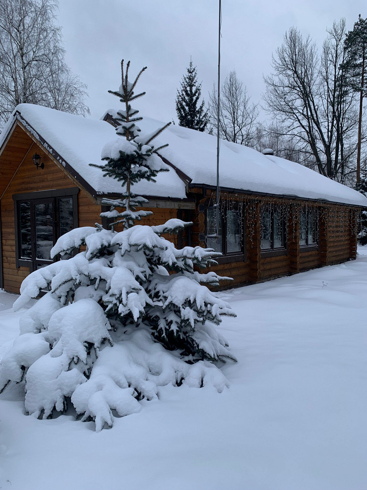 Лесной городок, отзывв4