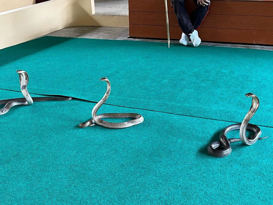 Живу на Пхукете 3 года. Несколько полезных советов новичкам9