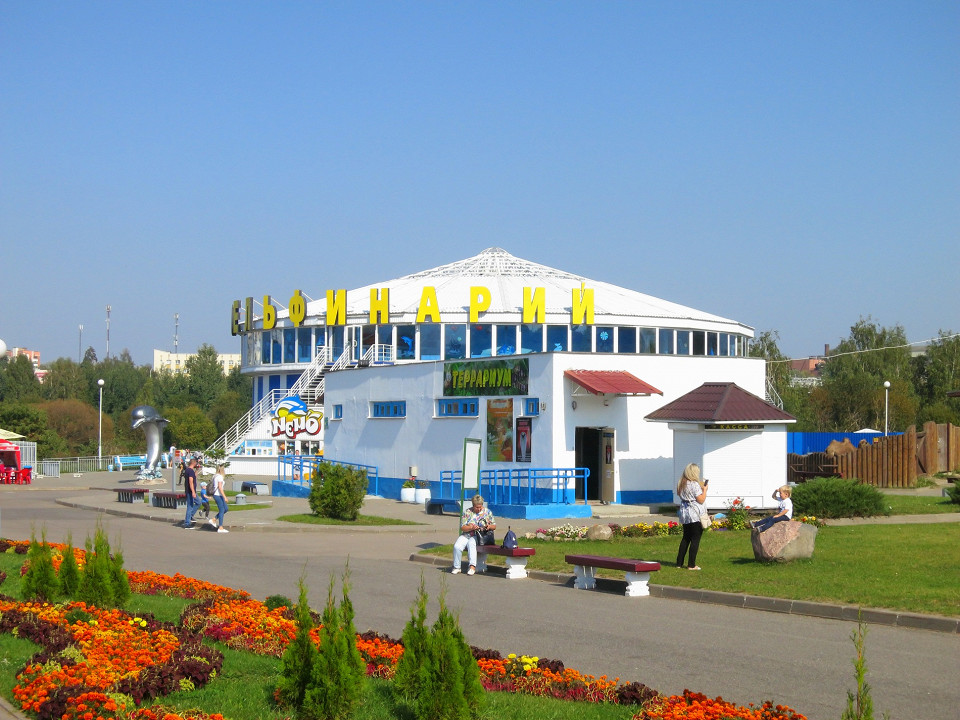 Дельфинарий в Минске