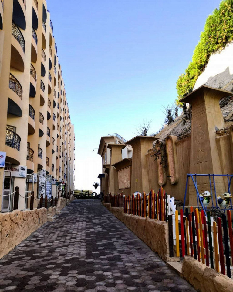 Пульт в пакетике, томные египтяне и собаки в бассейне3