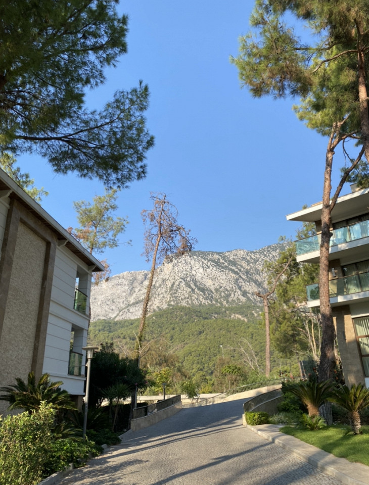 Кусючий Кемер, отзыв2