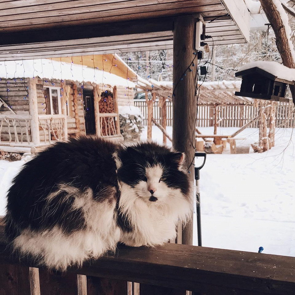Экокомплекс Husky Моа