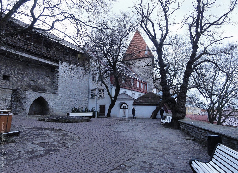 Сад датского короля