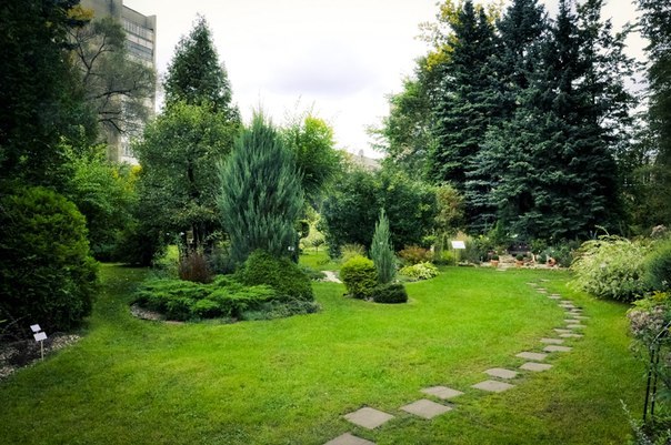 Ботанический сад ТвГУ