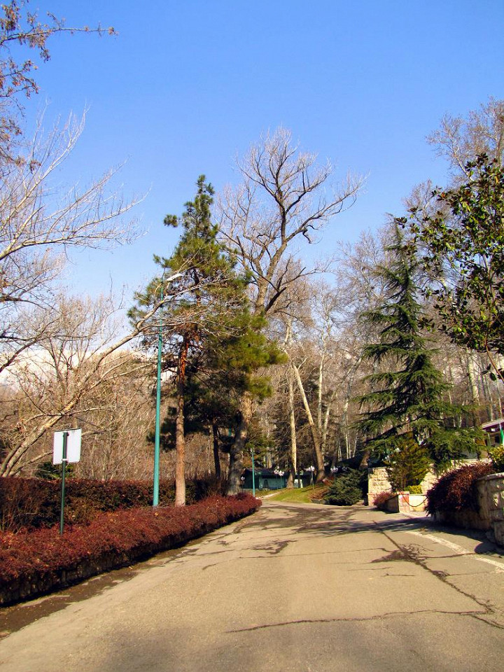 Осень в музее-заповеднике Саадабад в Тегеране