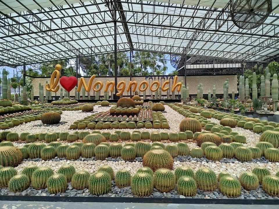 Месяц в Паттайе, отзыв8