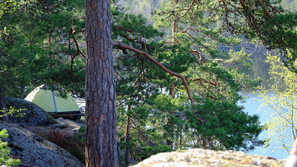 Палатка в лесу. Республика Карелия