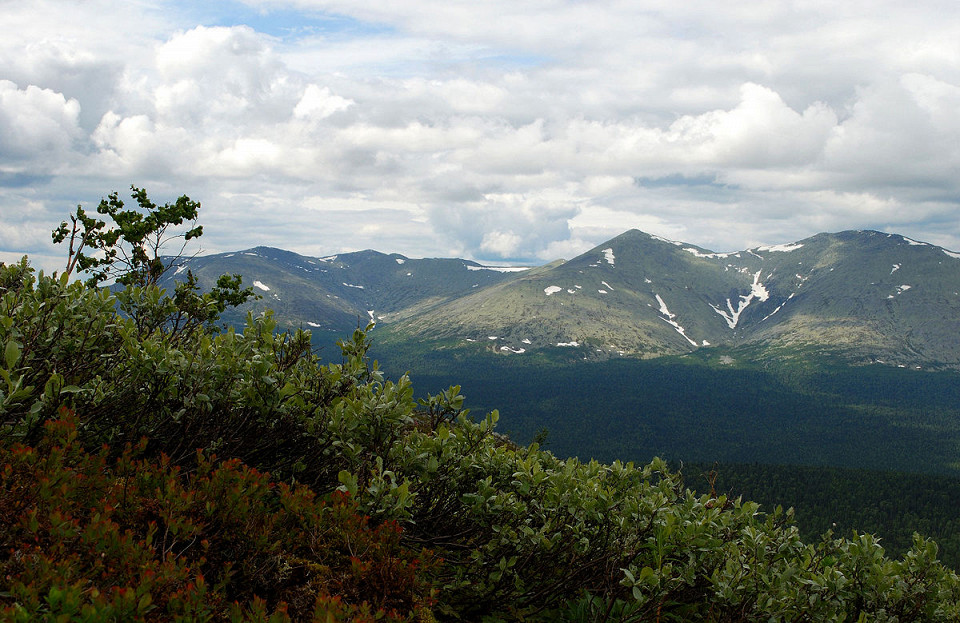  Вишерский заповедник, Россия