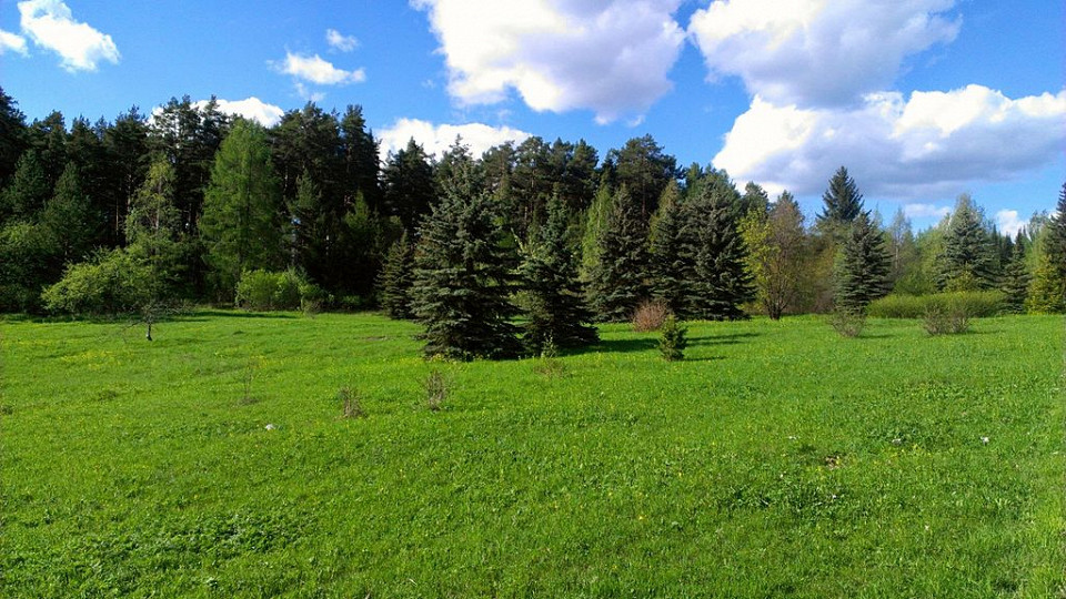 Ботанический сад ПетрГУ