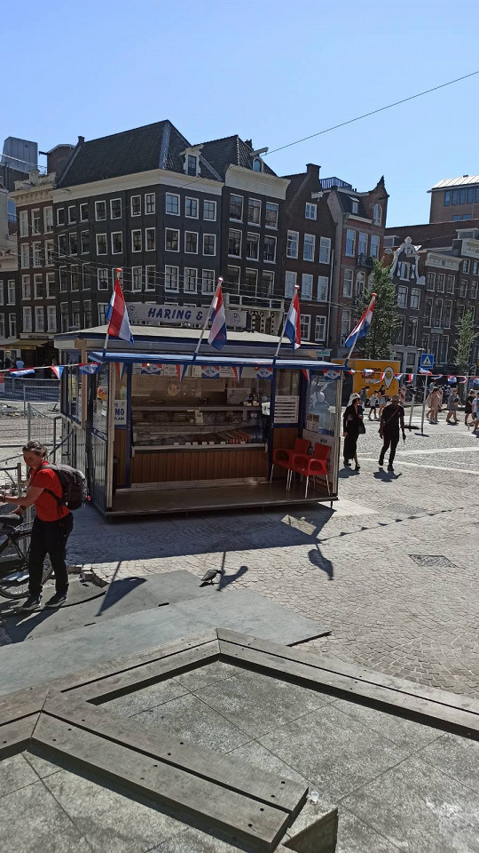 С картой в Амстердаме, отзыв6