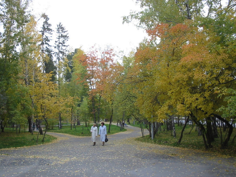 Городской сад Томска