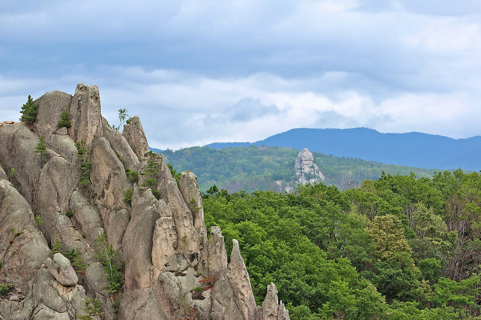 Парк Драконов, Приморский край