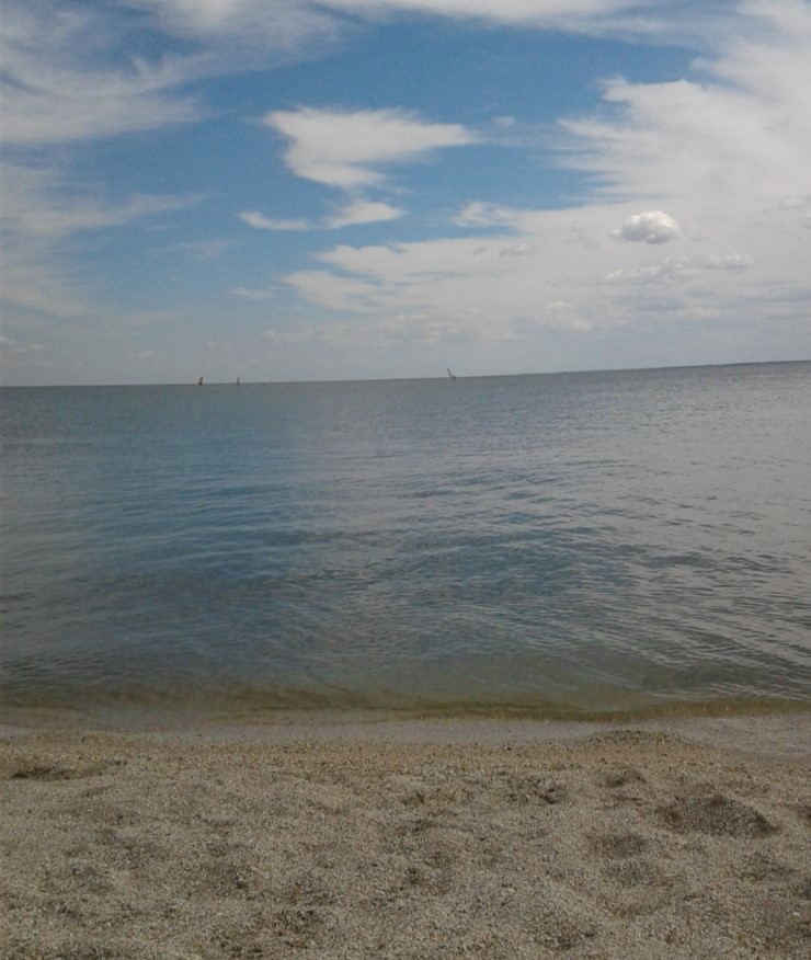 Грязное море в Ейске, отзыв5