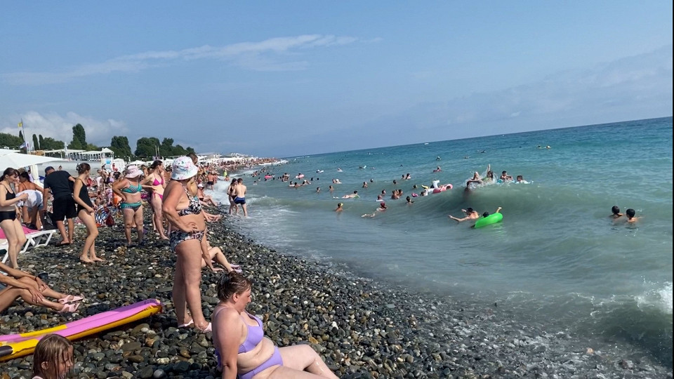 Двоякий Адлер, отзыв2