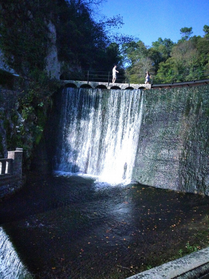 Самшитовая роща, отзыв6