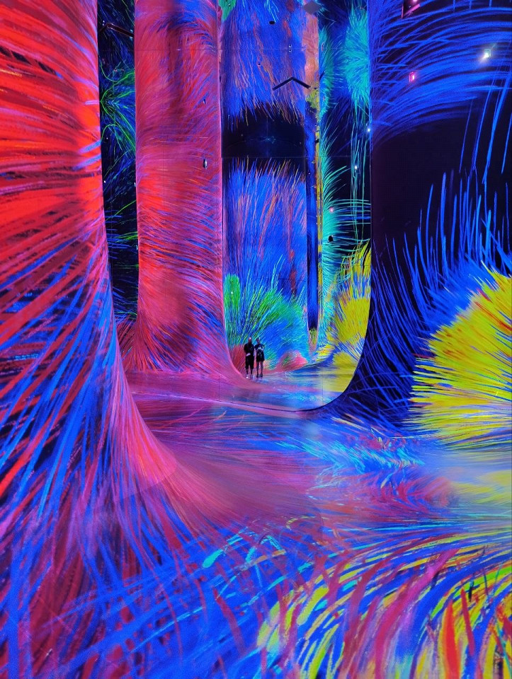 TeamLab Phenomena в Абу-Даби