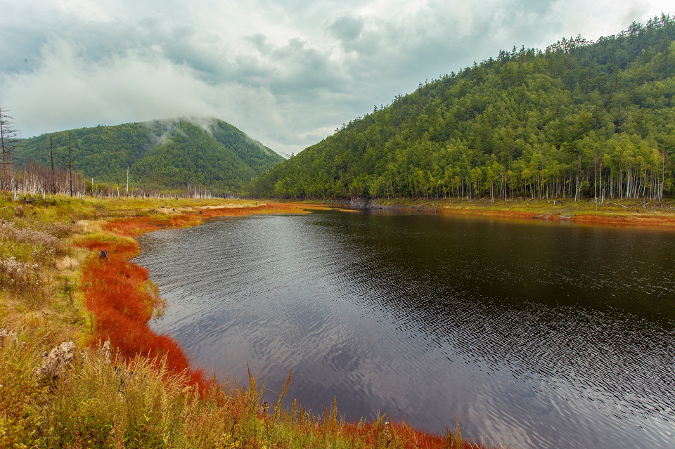 Зейский заповедник, Амурская область