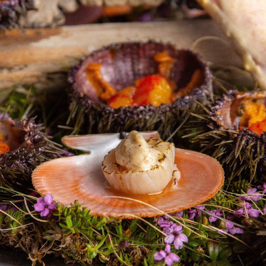 На Кольском полуострове29