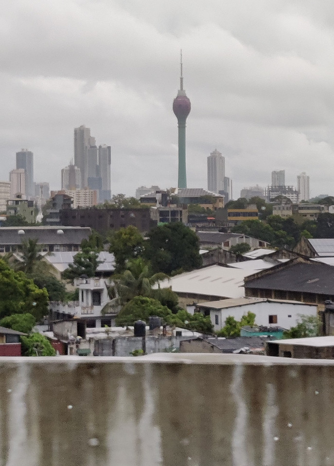 Шри-Ланка из Индии, отзыв1