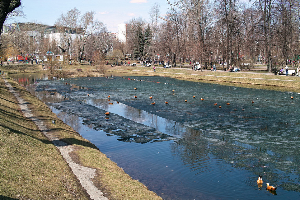Замерзающий пруд, Екатерининский парк в Москве