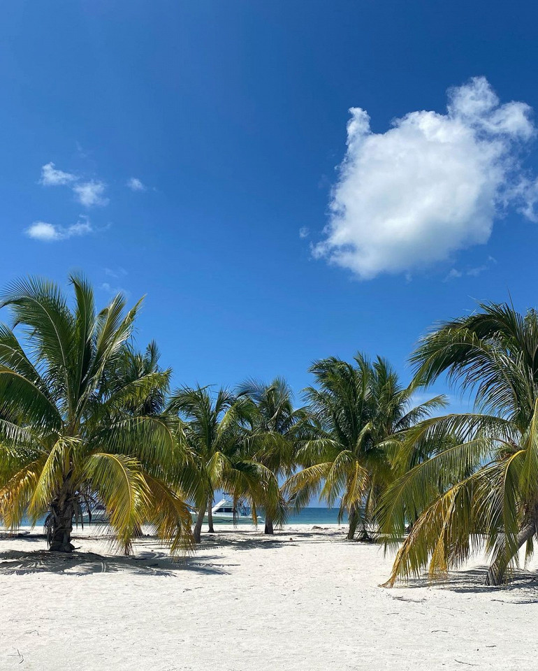 Доминикана или Куба3