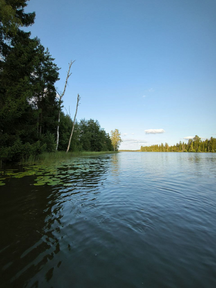 Глэмпинг в Ленобласти, отзыв3