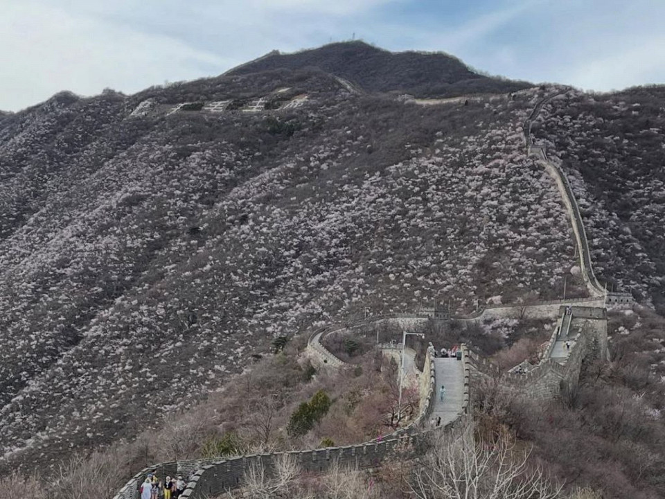 Тур в Пекин — это не отдых, а выживание 2