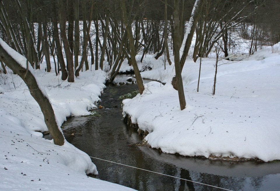 Талеж, родник