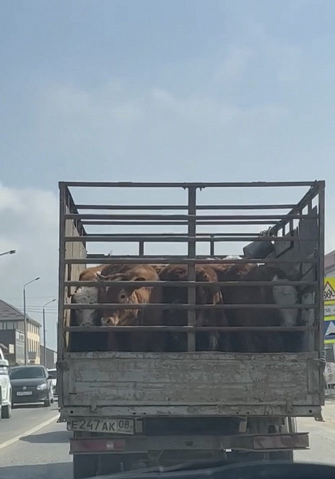Автопутешествие в Дагестан, отзыв3