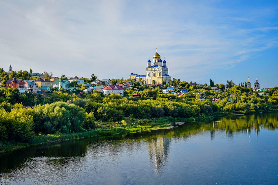 Елец, вид