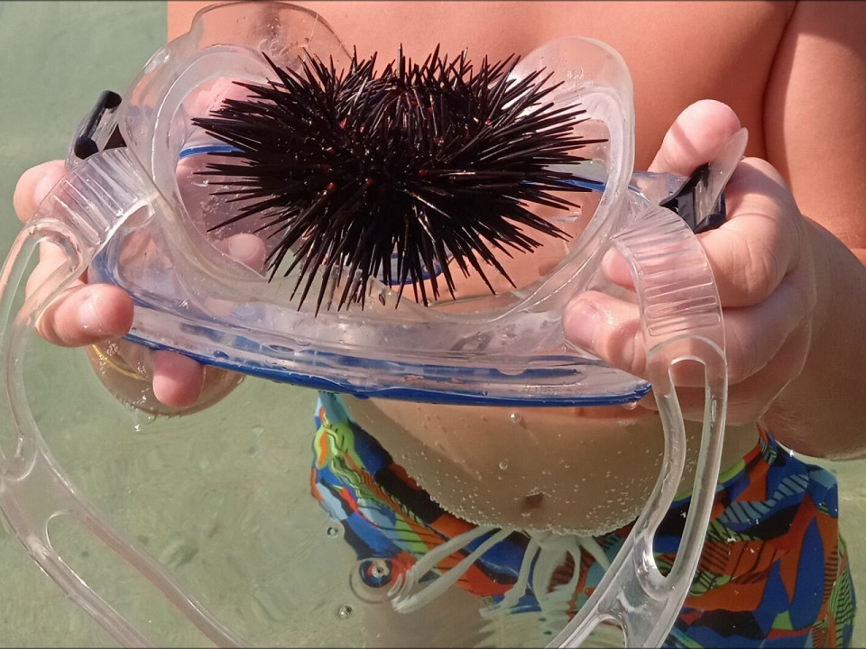 Памперс в бассейне — теперь я видела все! Отзыв туриста о египетском отеле 1