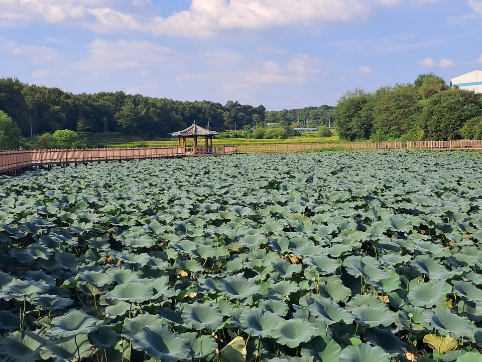 Южная Корея, отзыв3