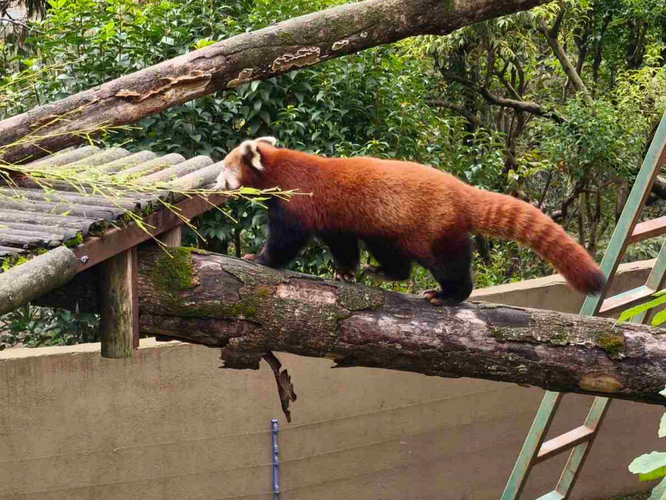 В любимый Стамбул приезжаю всегда как впервые 1