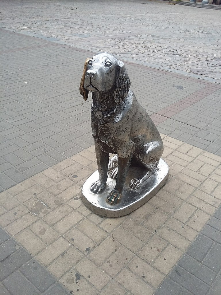 Белый Бим, Воронеж