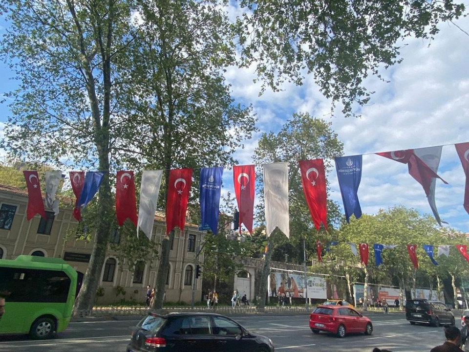 Город кошек2